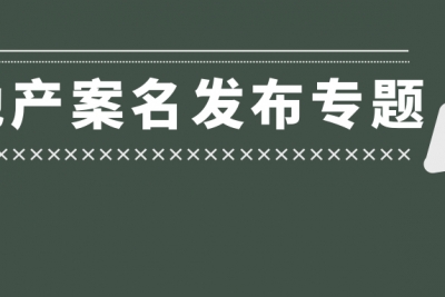 海案网 | 最美房地产案名发布都在这里，分享33份房地产案名发布活动策划方案，让你的房地产营销赢在起点！