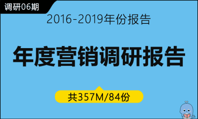 调研06期 年度营销调研报告