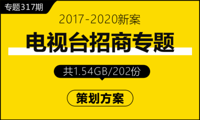 专题317期 电视台招商专题