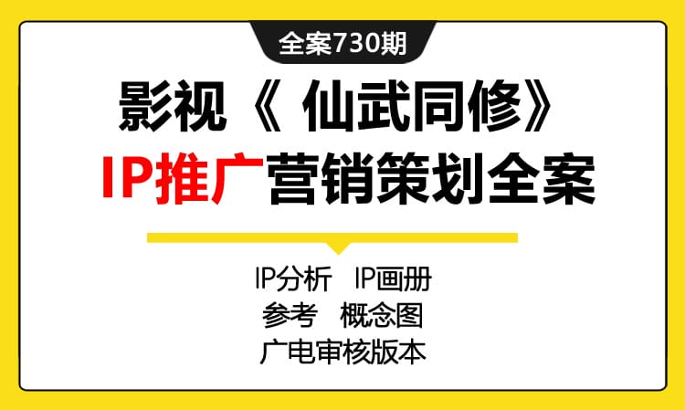 730期全案 电视剧《 X武同修》影视IP推广营销全案(剧本+IP分析+合同+商务)