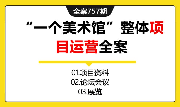 757期全案 最美文化艺术馆“一个美术馆”整体项目运营全案（项目+论坛+展览）