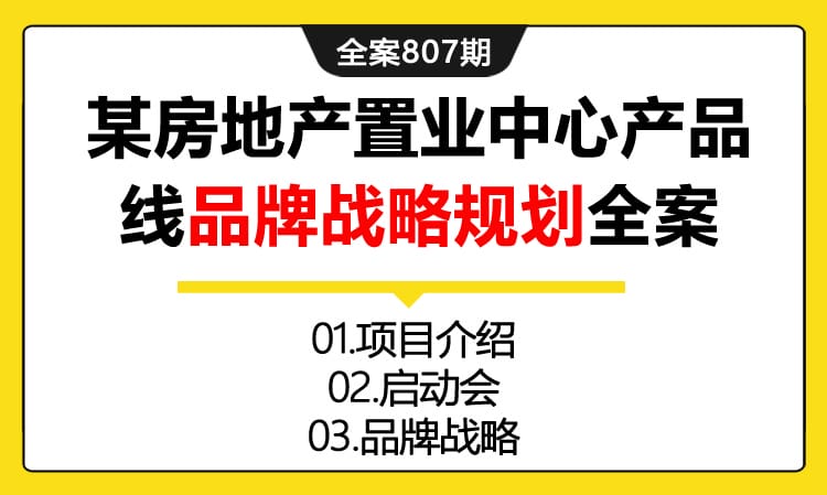 807期全案 某房地产置业中心产品线品牌战略规划全案（项目介绍+启动会+品牌战略）